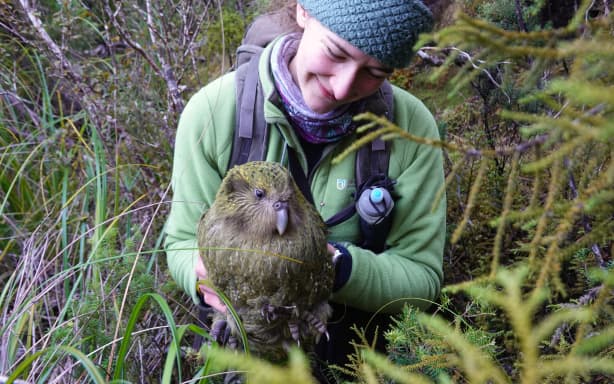 Image of a woman wearing a green jumper and blue beanie, holding a large green kakapo bird.