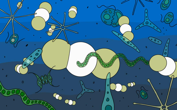 Illustration of carbon dioxide and algae.