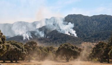 Auckland El Niño warning: Risk of wildfires, drought and soaring temperatures