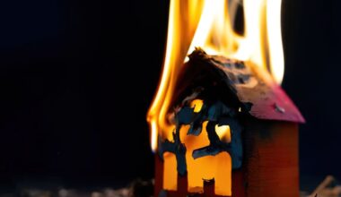 Mentally compromised Waikato woman set fire to unit and fled as kids watched TV nearby