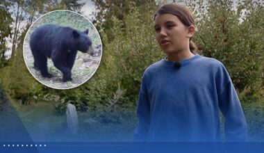 12-year-old boy fights off mama black bear in backyard