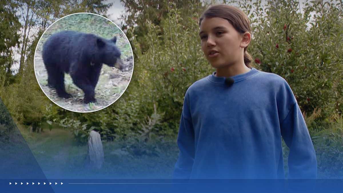12-year-old boy fights off mama black bear in backyard