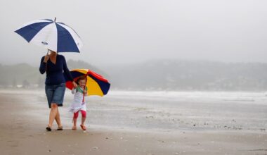 Weather: Cold fronts bring windy, showery start to school holidays