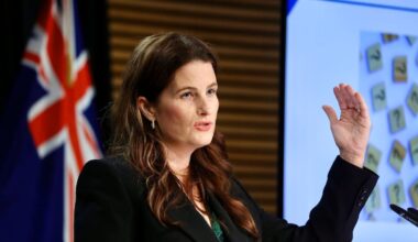 National’s tax-cut talk and supermarket break-up plan fail to tackle wider cost of living issues - Fran O’Sullivan