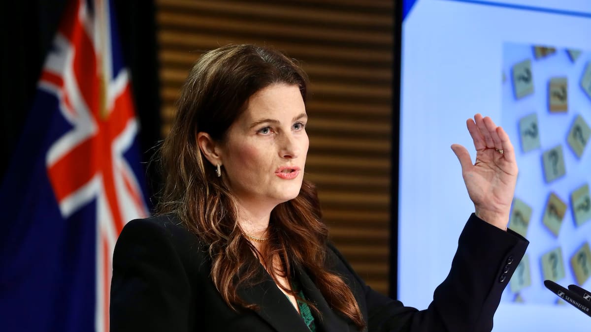 National’s tax-cut talk and supermarket break-up plan fail to tackle wider cost of living issues - Fran O’Sullivan