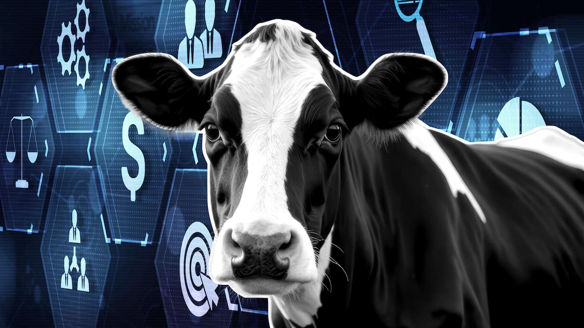 Fonterra exceeds earnings target, plans to invest $1 billion on South Island manufacturing