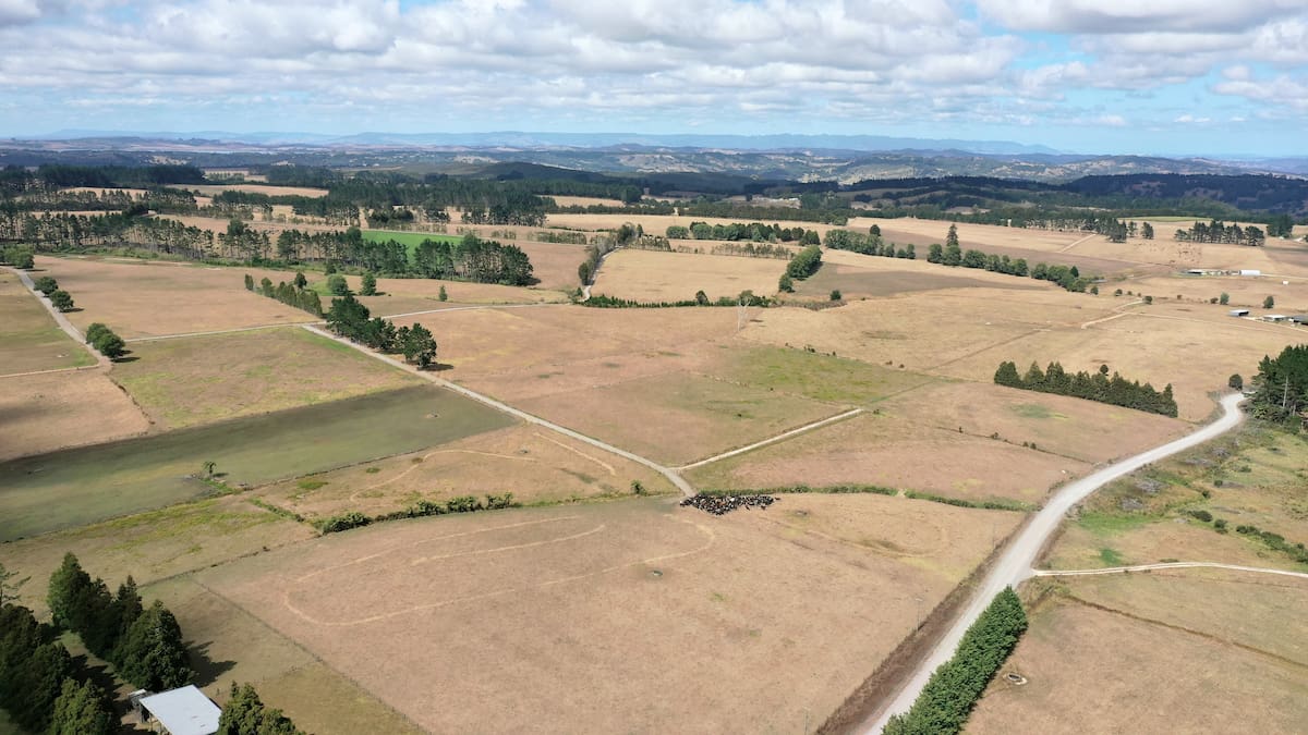 Northland Regional Council says strengthening El Niño already being felt across Northland