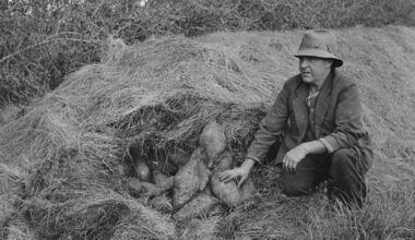 Country Life: The farm photographer who captured a changing New Zealand
