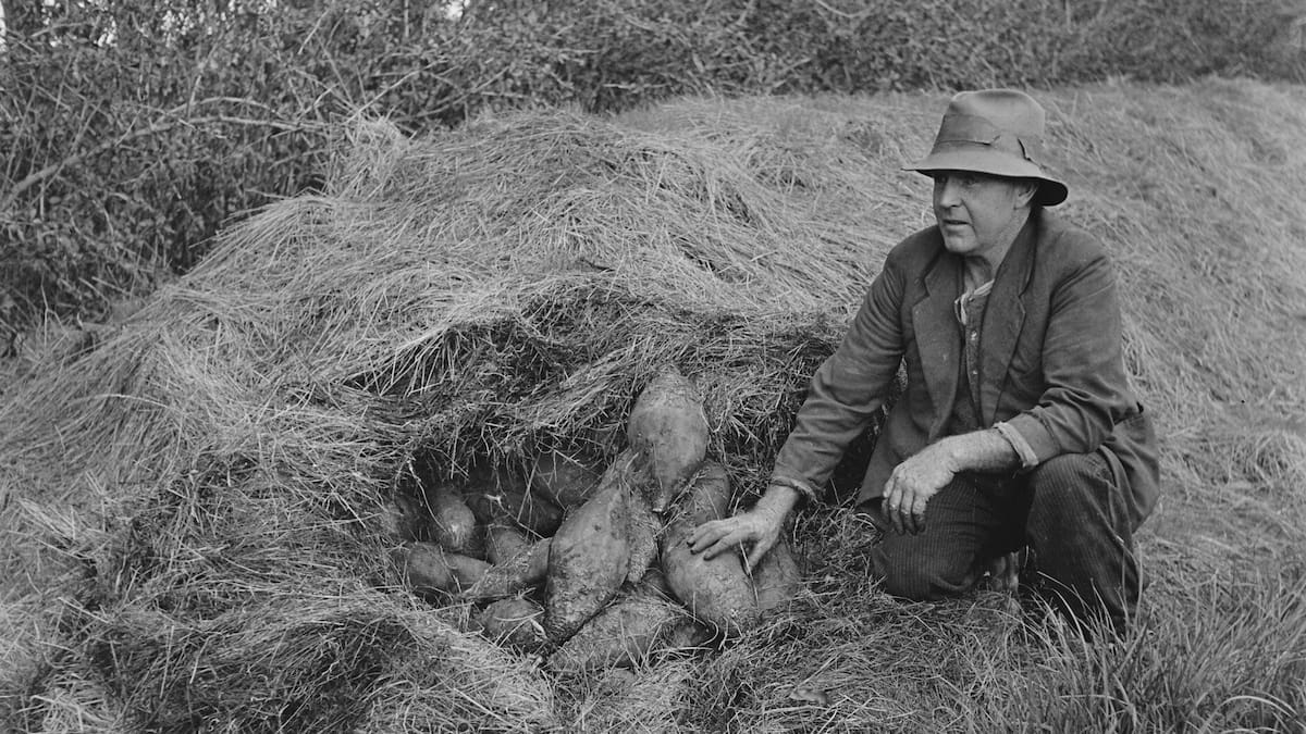 Country Life: The farm photographer who captured a changing New Zealand
