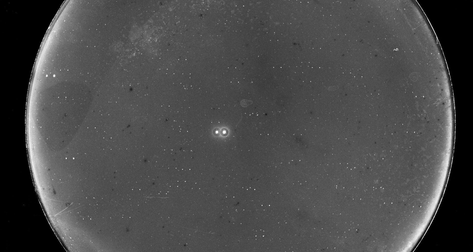Newswise: Suns set on hunt for giant planets in nearby binary system
