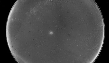 Newswise: Suns set on hunt for giant planets in nearby binary system