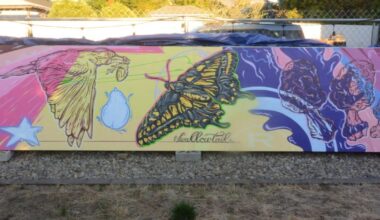New Medford murals to celebrate wildlife and landscape | Local