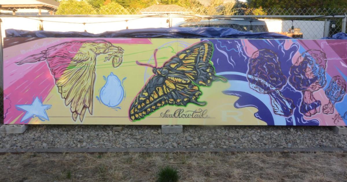New Medford murals to celebrate wildlife and landscape | Local