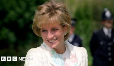 Charles 'sounded giddily elated' after Diana died, Earl Spencer claims - BBC