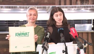 The Greens want a Government-owned supermarket. Could it actually work? - Stuff