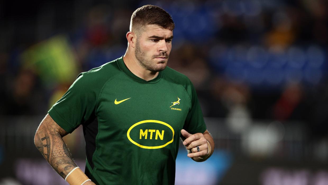 Live: Wallabies v Springboks – one-off rugby test - Stuff