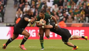 Settled Springboks recall Damian Willemse and promote Morne van den Berg for fourth test against All Blacks - Stuff