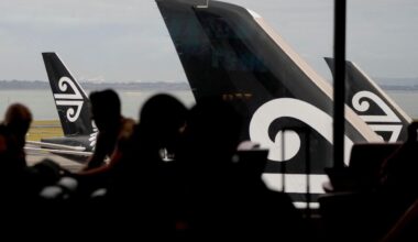 Former Air New Zealand CEO calls out PM’s not ‘cool’ criticism of airline’s performance - Stuff