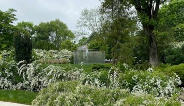 A Dan Graham sculpture at Prospect Gardens is sited in a grassy space with mature viburnum - Photo by Cindy Shumate