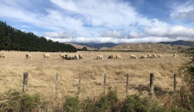 El Niño drought: Wairarapa farmers warned of dry conditions and feed shortages