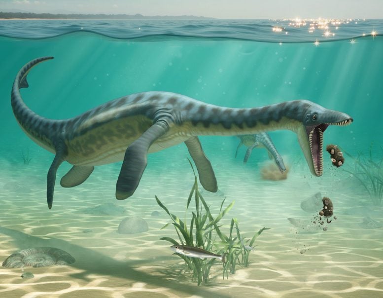 Artist’s Impression of Plesiosaurs Feeding on the Sea Floor