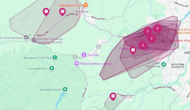 Swanson and Massey fibre outage caused by vandalism to Chorus network cables