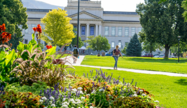 University Counseling Center partners with Mantra Health to expand virtual mental health support – @theU