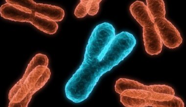 New 3D structure reveals how cancer-linked BRD4 protein binds to chromosomes