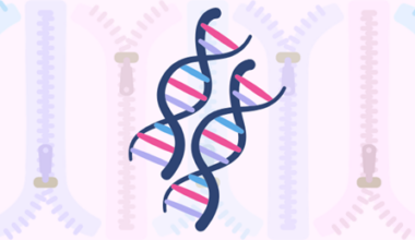 Scientists Capture DNA–DNA Pairing For First Time