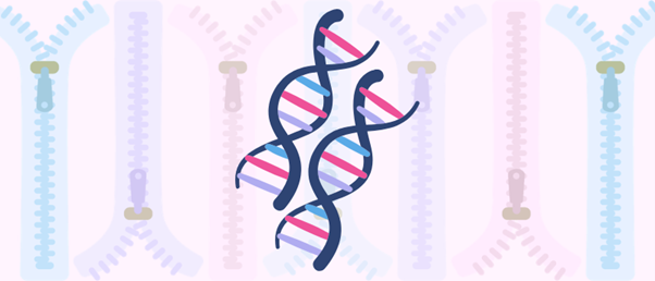 Scientists Capture DNA–DNA Pairing For First Time