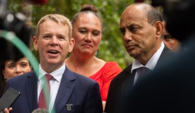 Labour to oppose ‘silly co-governance’ in Māori partnership policy