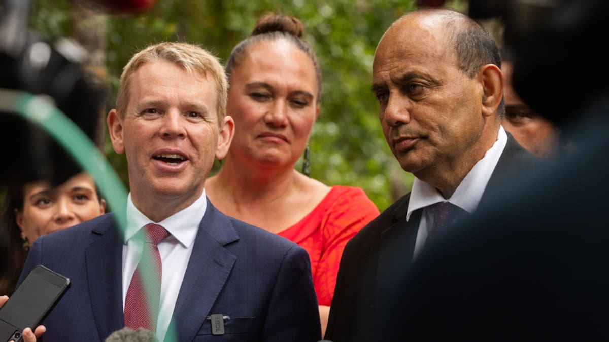 Labour to oppose ‘silly co-governance’ in Māori partnership policy