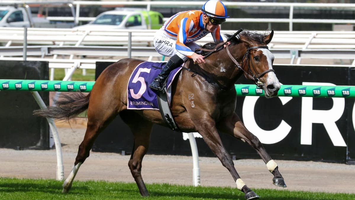 Lara Antipova wins Listed Michael Moroney Stakes at Flemington