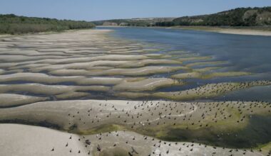 August hottest month ever recorded globally as huge El Niño emerges
