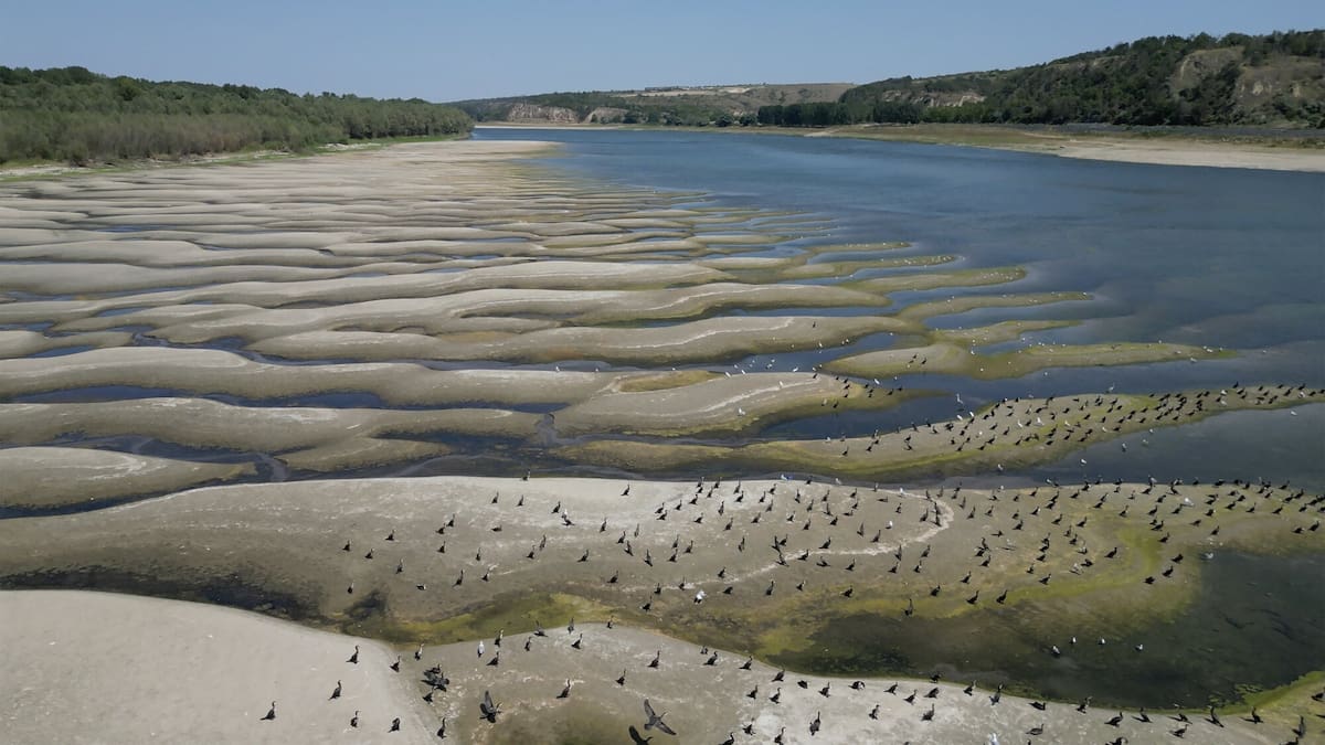 August hottest month ever recorded globally as huge El Niño emerges