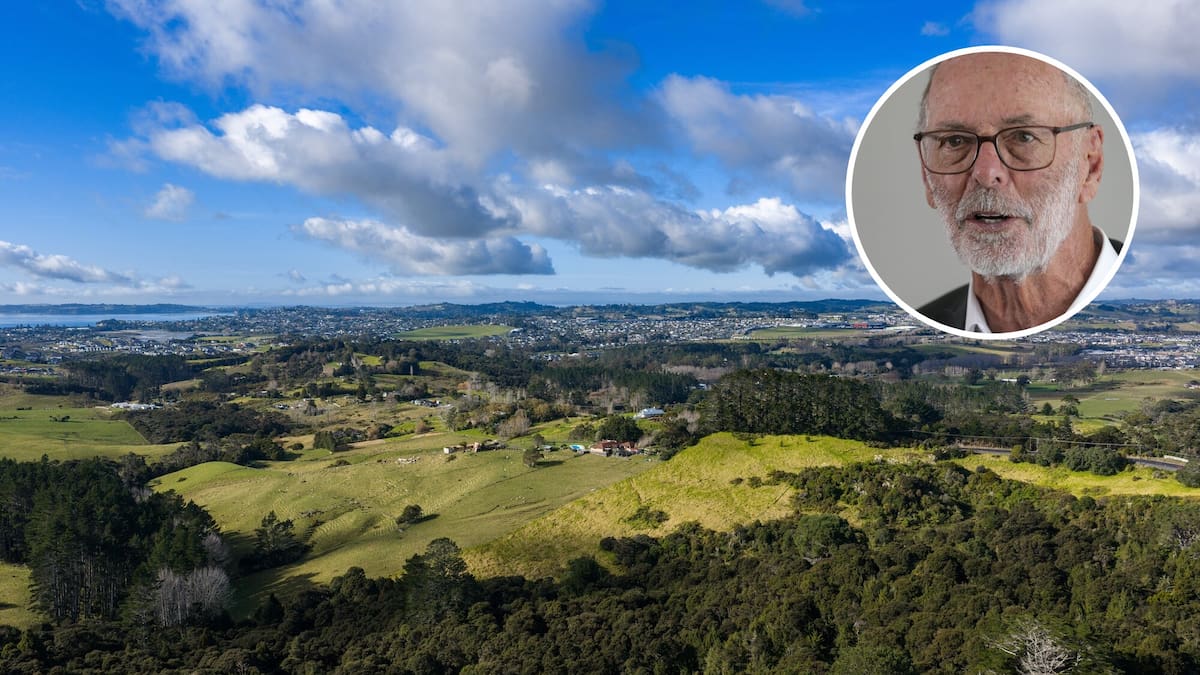 Auckland councillors vote for ‘nuclear’ option in fiery meeting on fast-track development plans