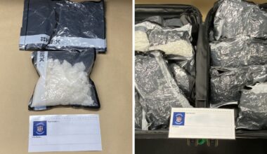 British man arrested after allegedly punching Customs officers during botched Auckland Airport meth smuggling bid