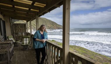 Coastal erosion: Port Waikato home owners seek funding to maintain new seawall