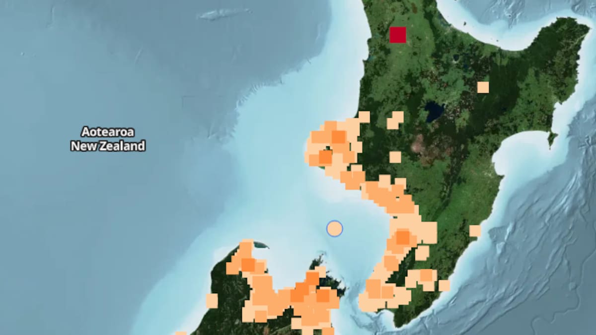 More than 5000 people report 4.8 magnitude quake off Taranaki coast