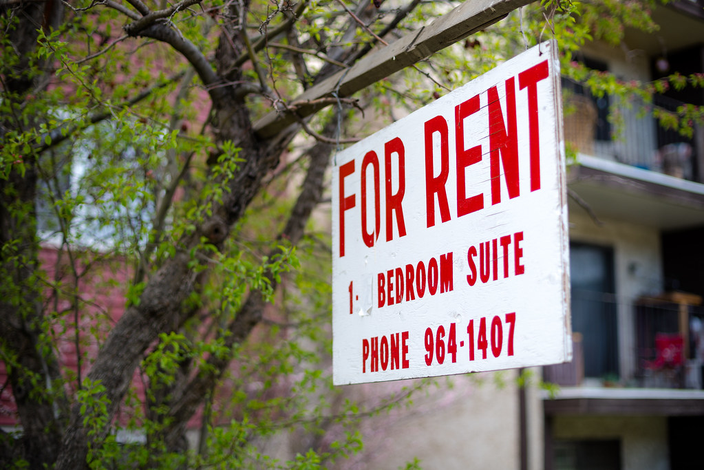 Despite surge in properties being rented in July the median rent fell