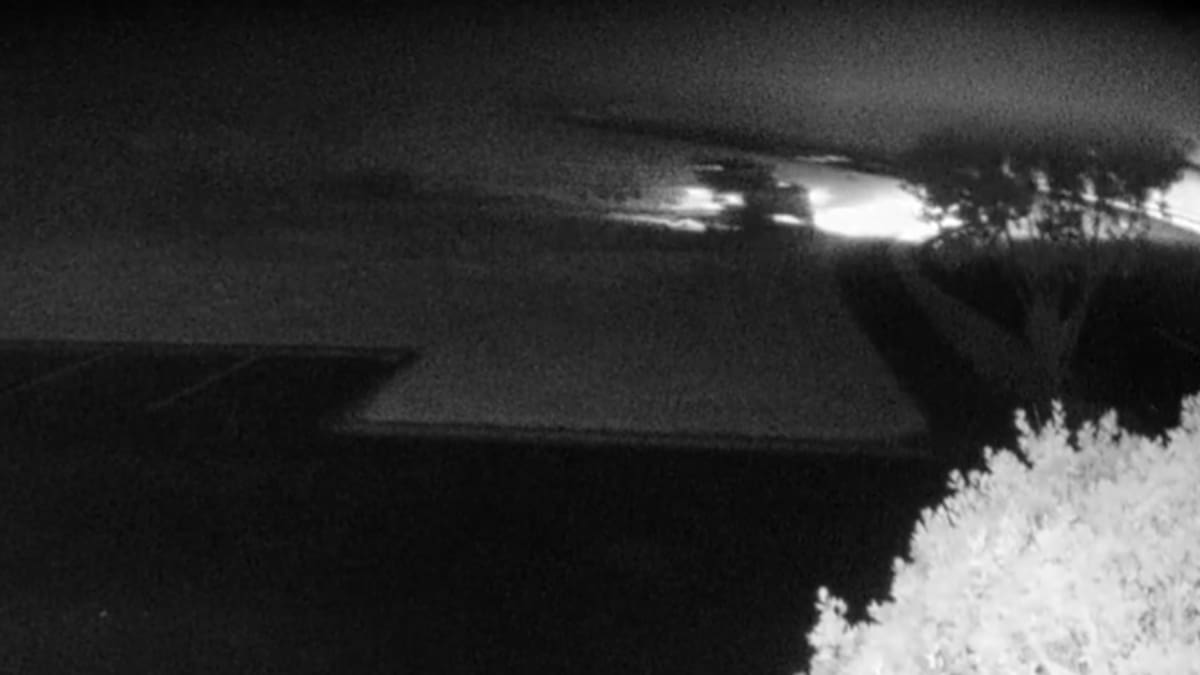 Driver tears through Whangaparāoa College grounds, razes bird nesting area