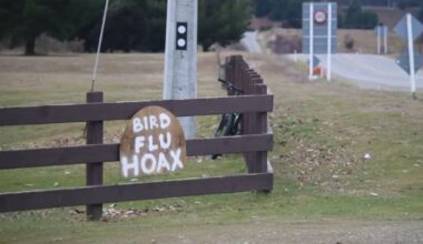 Bird flu ‘hoax’ claims spread online as sceptics dismiss threat