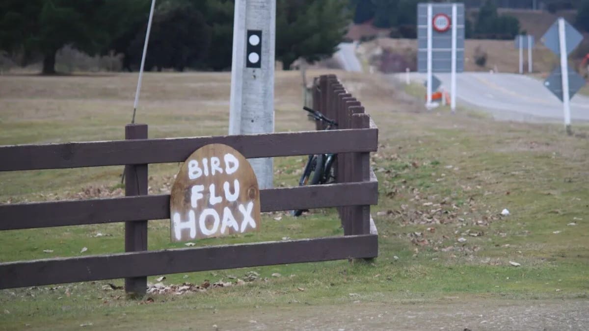 Bird flu ‘hoax’ claims spread online as sceptics dismiss threat