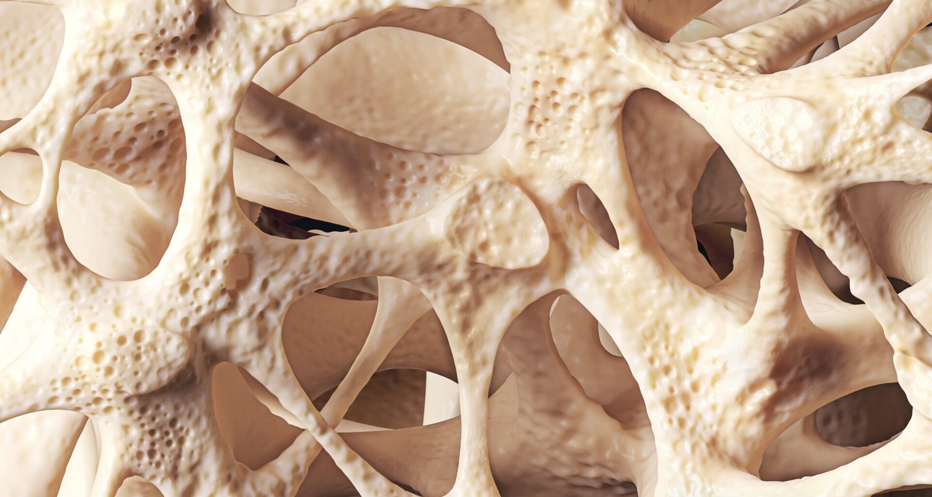 Common Bone Health Supplements Do Little to Prevent Fractures, Major Review Finds : ScienceAlert