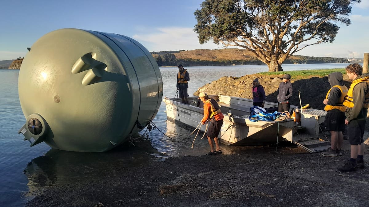 Kiwi dehydration death prompts new tank on Matakohe-Limestone Island