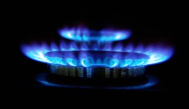 Methanex to indefinitely idle NZ plant in 2027, Genesis Energy secures 11.4PJ of gas through to 2029