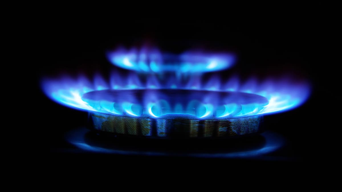 Methanex to indefinitely idle NZ plant in 2027, Genesis Energy secures 11.4PJ of gas through to 2029