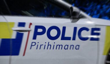Hamilton crash: Pedestrian dies after being struck by vehicle in Pukete