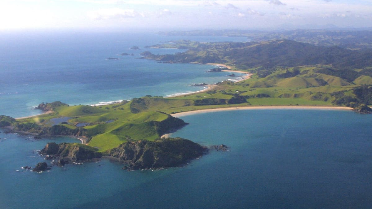 Fishing reforms: Northland’s marine protected no-take areas face uncertain future