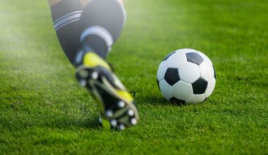 Waitematā FC player Raymond Kumar jailed for kicking opponent in face at match on Auckland’s North Shore